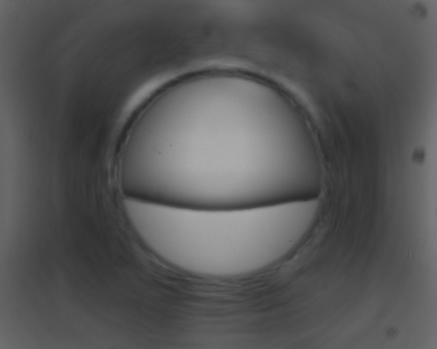 X0000095531271200712140926