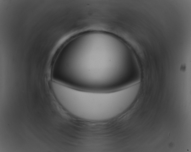 X0000095531272200712140926