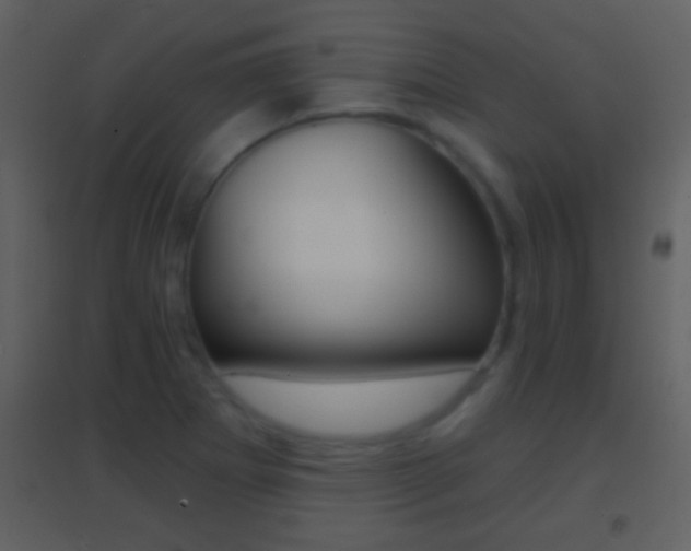 X0000095531273200712140926