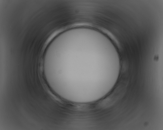 X0000095531274200712140926