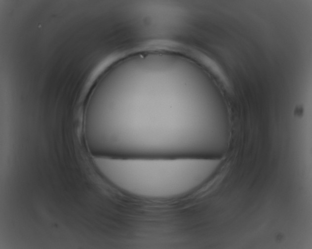X0000095531275200712140926