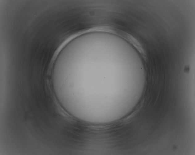 X0000095531276200712140926