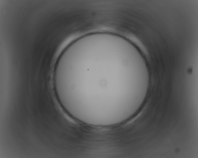 X0000095531278200712140926