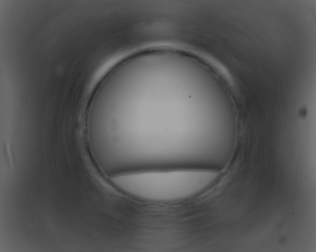 X0000095531279200712140926