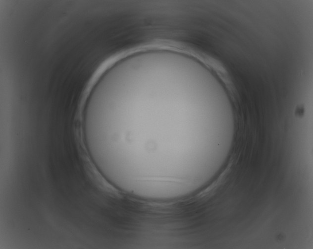 X0000095531280200712140926