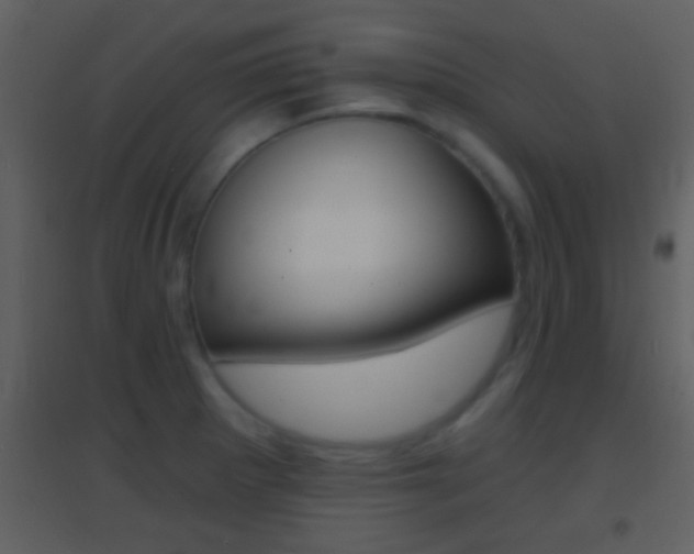 X0000095531281200712140926