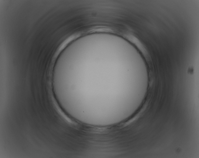 X0000095531282200712140926