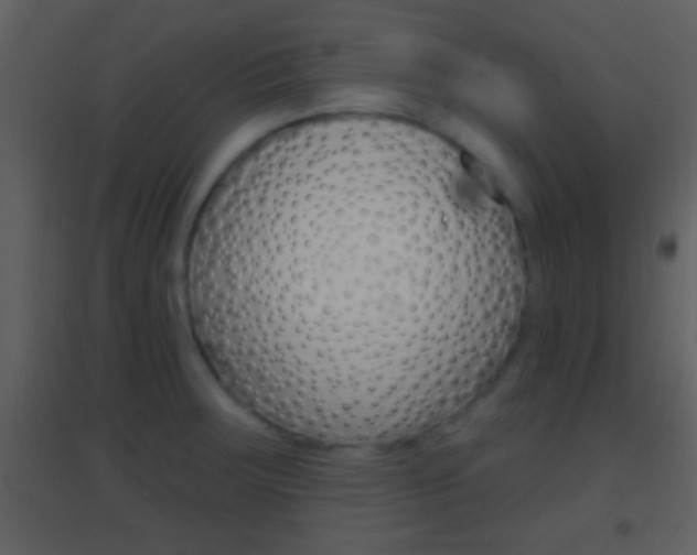 X0000095531283200712140926