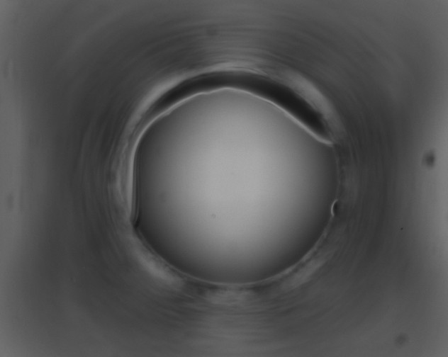 X0000095531284200712140926