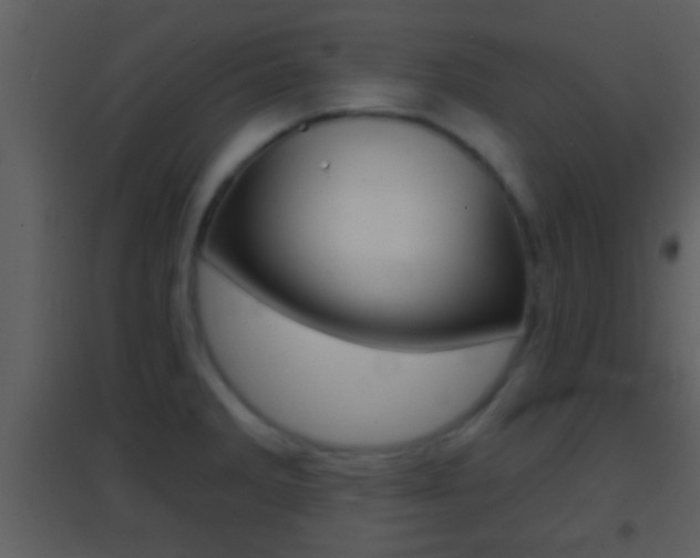 X0000095531285200712140926