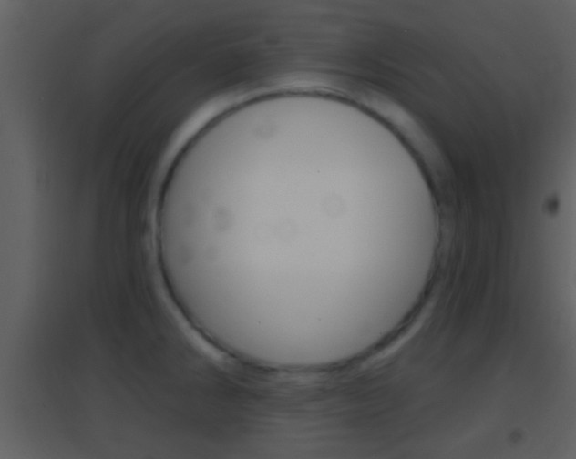 X0000095531286200712140926