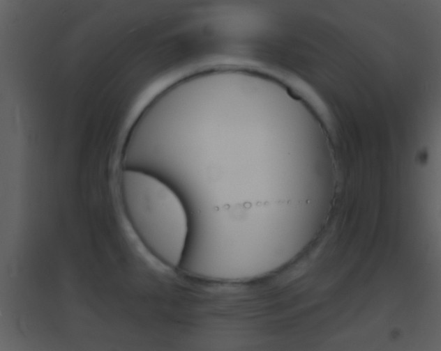 X0000095531287200712140926