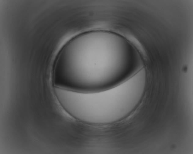 X0000095531288200712140926