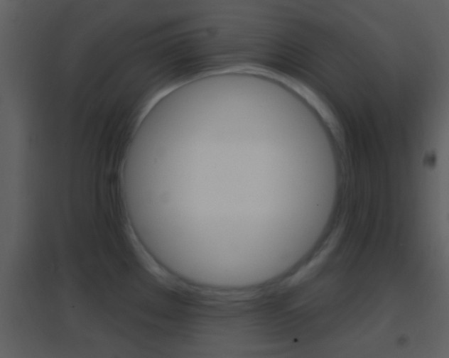 X0000095531289200712140926