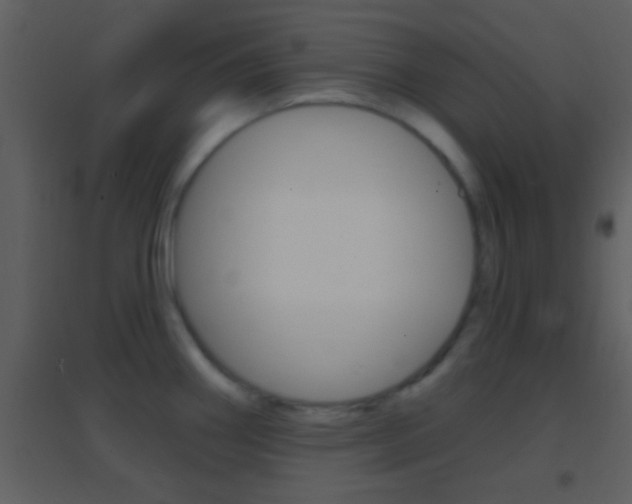 X0000095531290200712140926