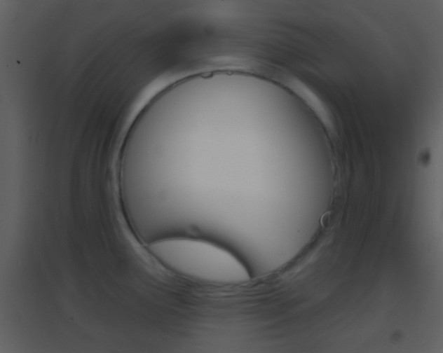 X0000095531291200712140926