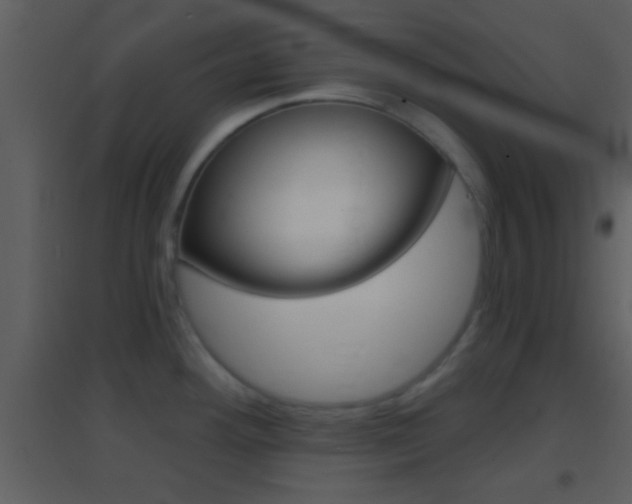 X0000095531292200712140925
