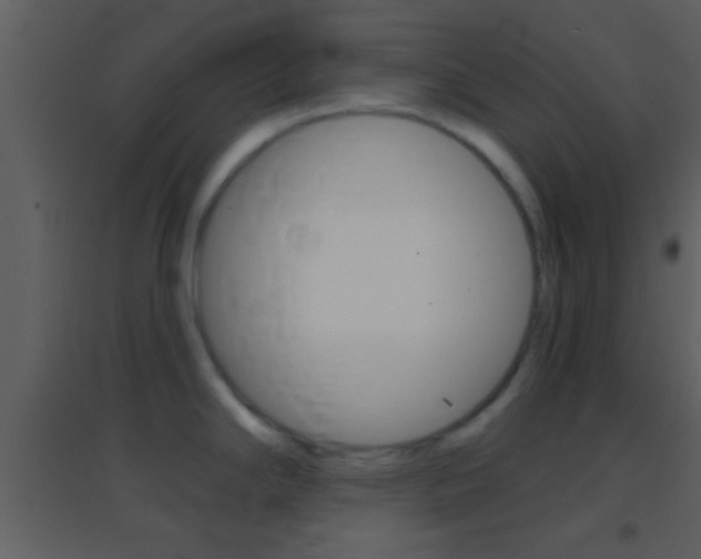 X0000095531294200712140925