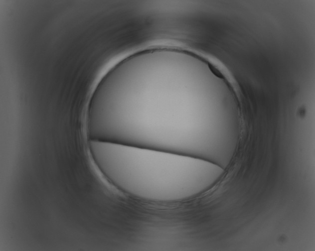 X0000095531295200712140925