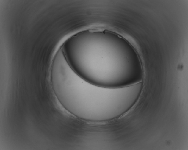 X0000095531296200712140925