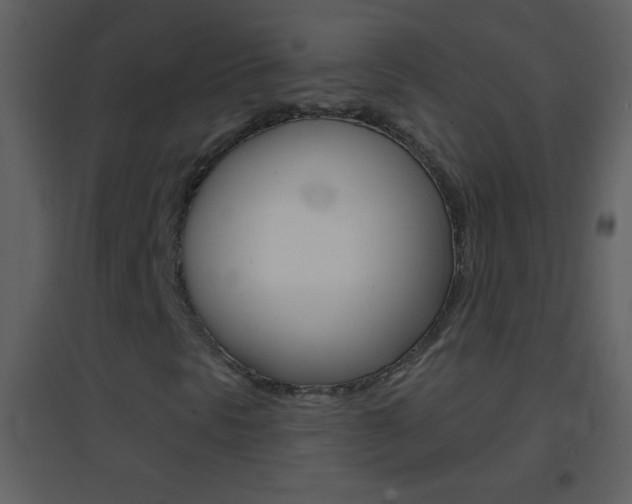 X0000095531297200712140925