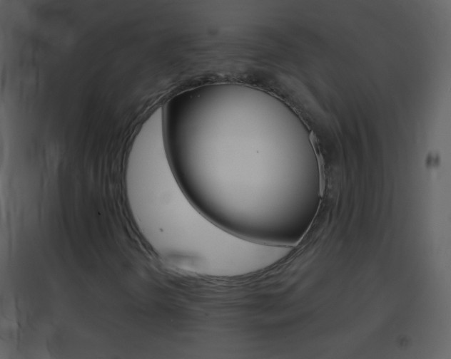 X0000095531298200712140925