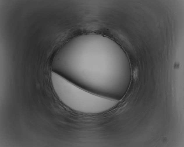 X0000095531299200712140925