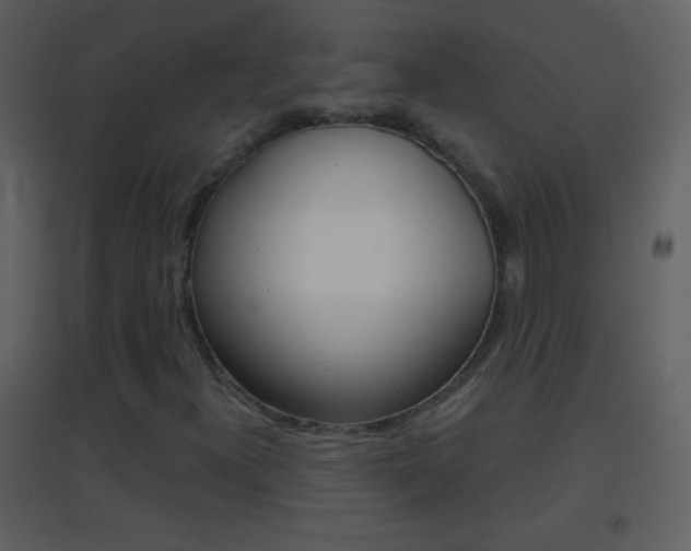 X0000095531300200712140925