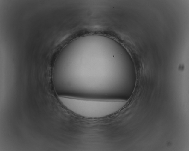 X0000095531301200712140925