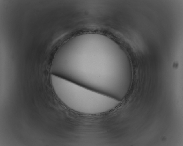 X0000095531302200712140925