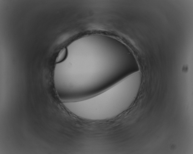 X0000095531303200712140925
