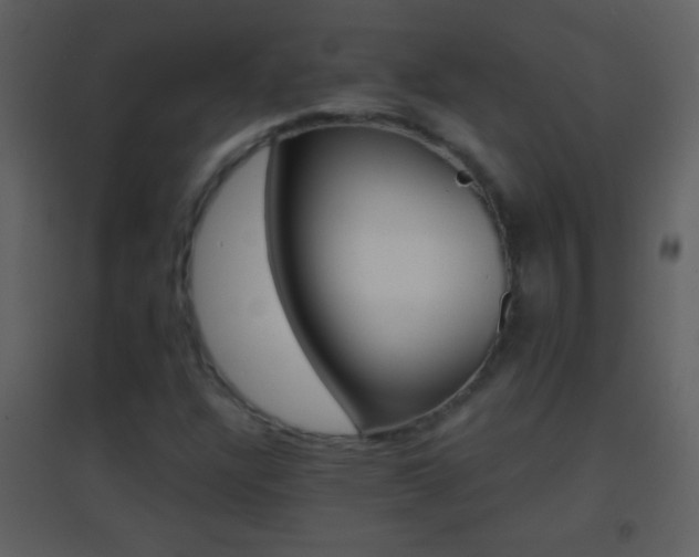X0000095531304200712140925