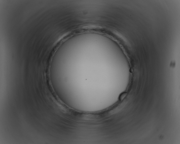 X0000095531305200712140925