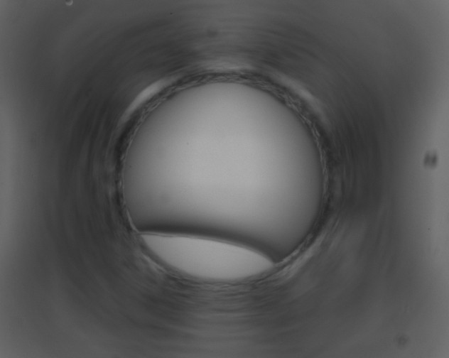X0000095531306200712140925