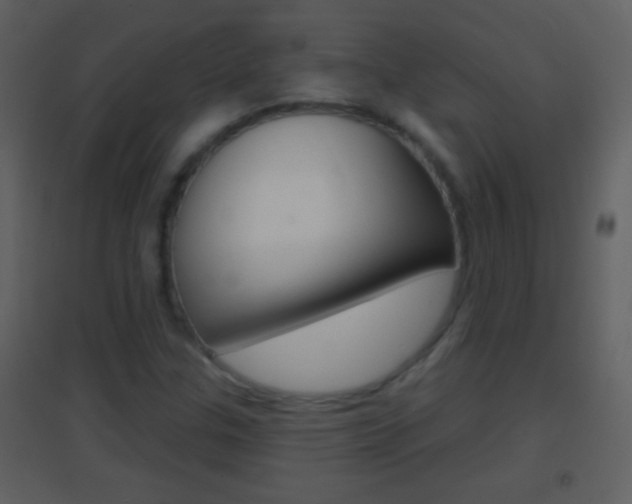 X0000095531307200712140925