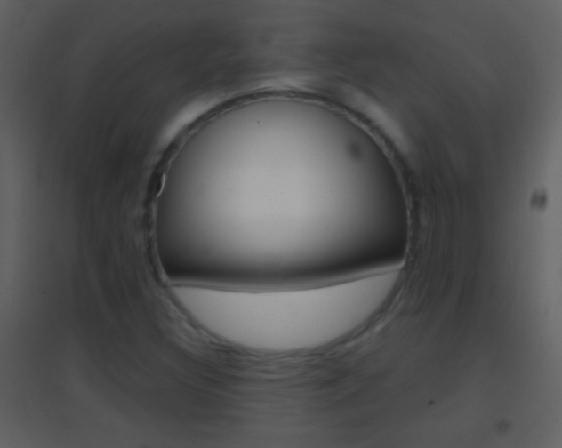 X0000095531308200712140925