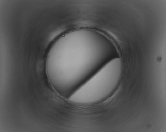 X0000095531309200712140925