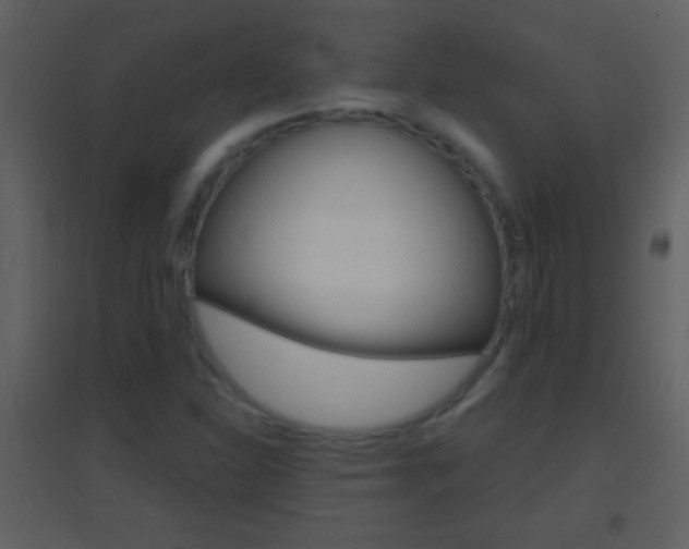X0000095531310200712140925