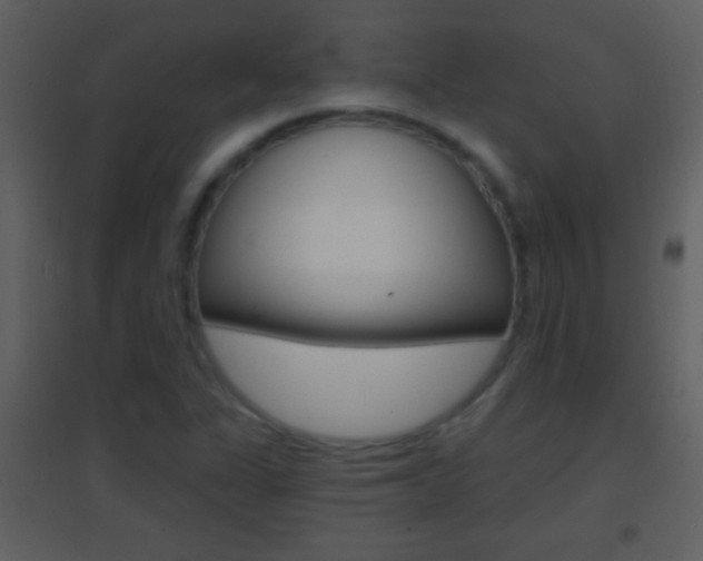 X0000095531311200712140925
