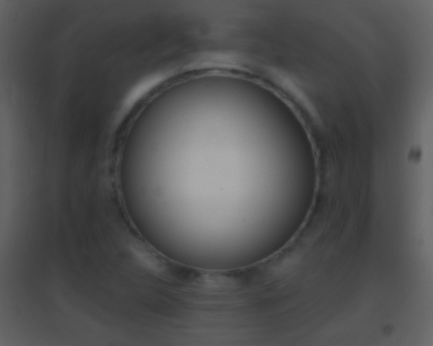 X0000095531312200712140925