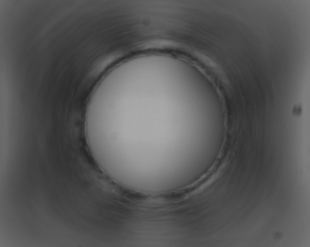 X0000095531313200712140925