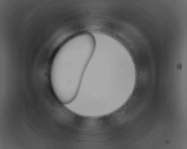 X0000095531314200712140925
