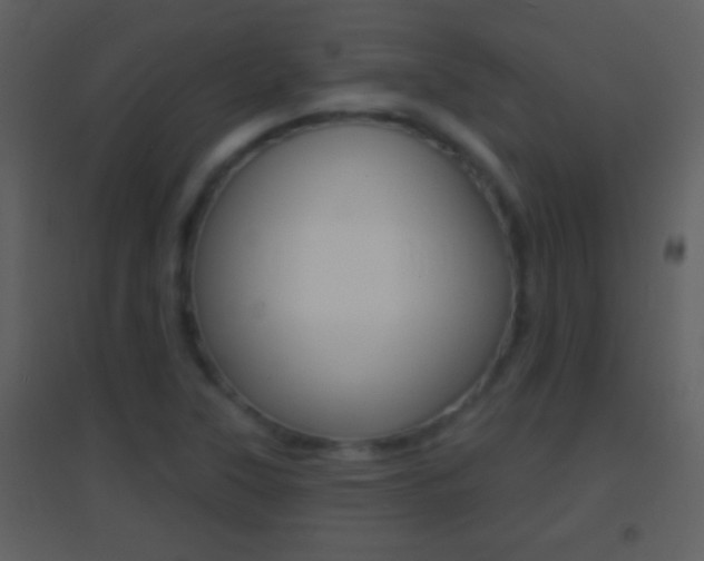 X0000095531315200712140925
