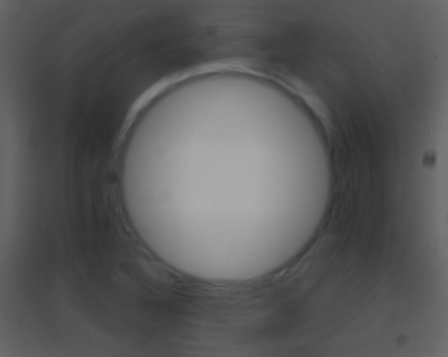 X0000095531316200712140925