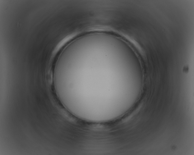 X0000095531317200712140925