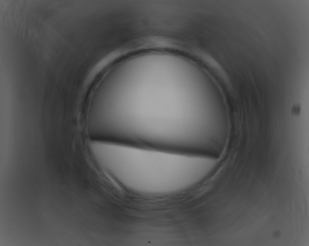 X0000095531318200712140925