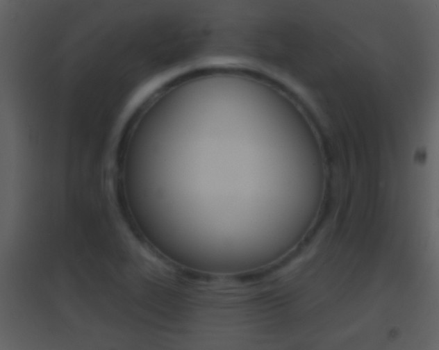 X0000095531319200712140925