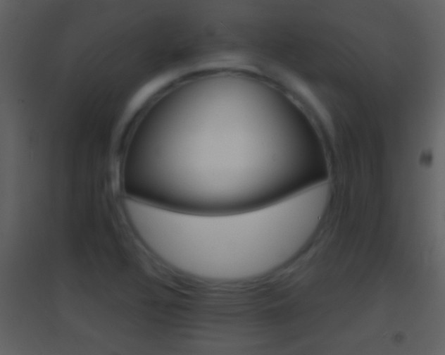 X0000095531320200712140925
