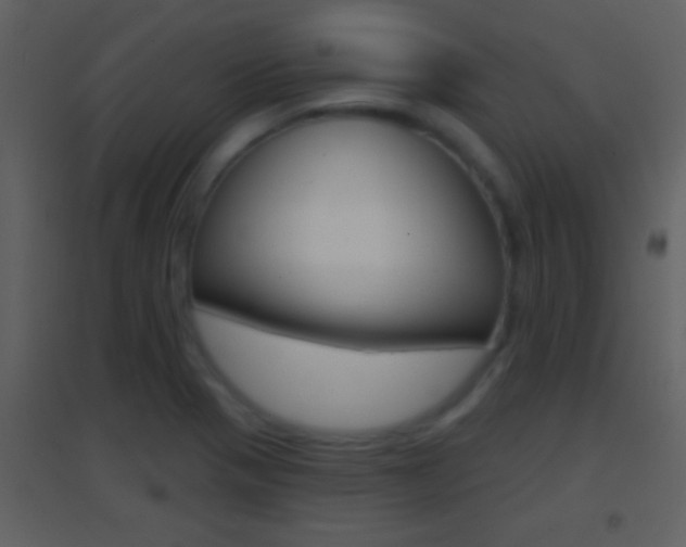X0000095531321200712140925