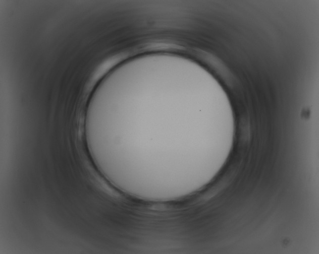 X0000095531322200712140925
